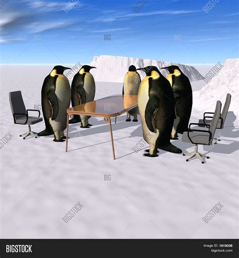 Penguins Meeting Image And Photo Free Trial Bigstock