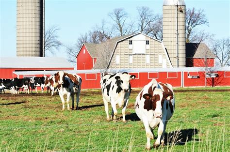 Tour Three Area Dairy Farms In South Dakota And Iowa