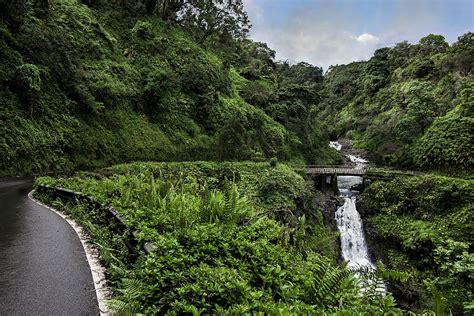 Exploring The Road To Hana 6 Must See Spots Along The Way Lealea Tours