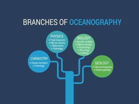 What Is Oceanography A Complete Guide To Ocean Studies Earth How