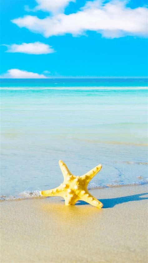 Starfish On The Beach 5 Iphone Wallpapers Free Download