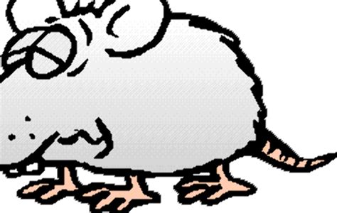 Download High Quality Rat Clipart Animated Transparent Png Images Art