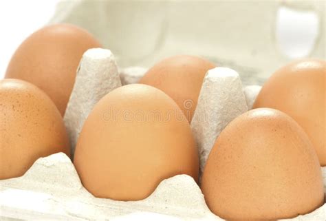 Half A Dozen Eggs Stock Image Image Of Nutrition Range 28879219