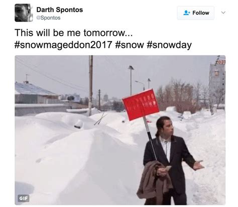Stella Snow Storm Inspires Blizzard Of Funny Memes On Social Media