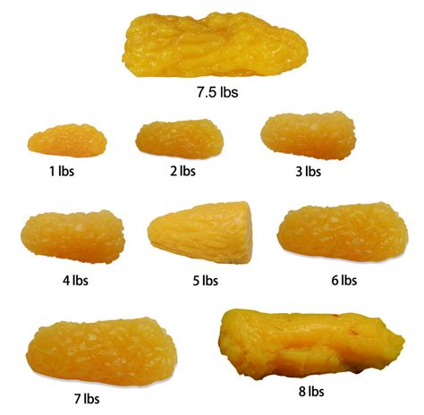 1lb Fat Replica For Weight Motivation For Wholesale At Low Price