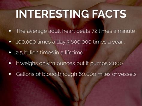 Fun Facts About Your Heart