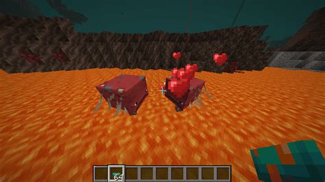 How To Breed Striders In Minecraft Minecraft Station