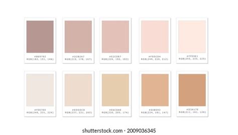 Nude Palette Shutterstock