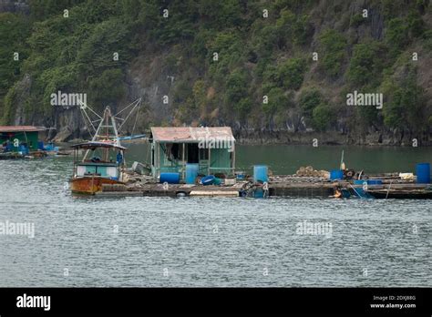 Floating Houses In Ha Long Bay Stock Photo Alamy