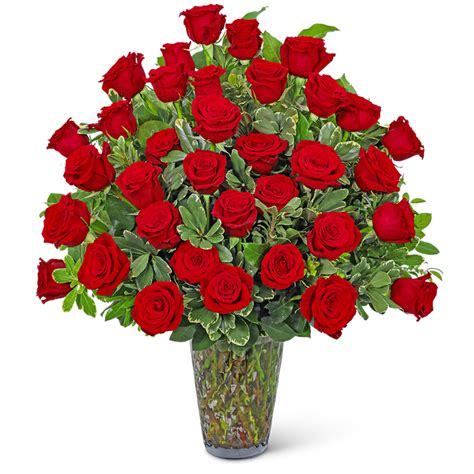 Three Dozen Elegant Red Roses Canonsburg Florist Malone Flower Shop