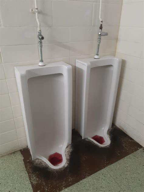 The Urinals In Our High School Rmildlyinfuriating