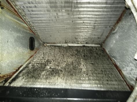 Mold Any Recommendations To Clean Inside My A Coil Hvac
