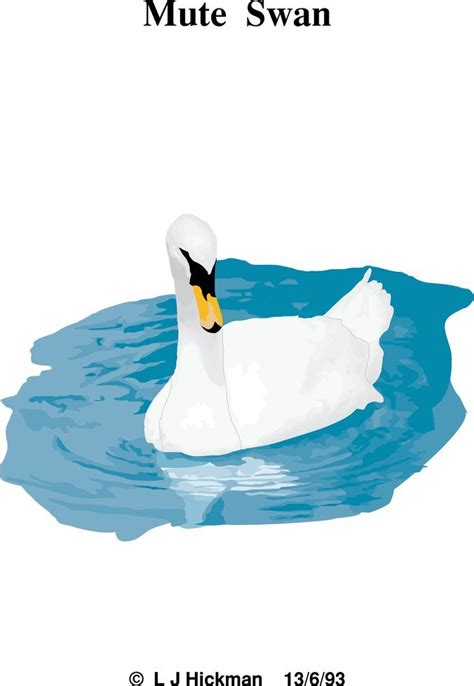 Free Swan Mute Vector File Freeimages