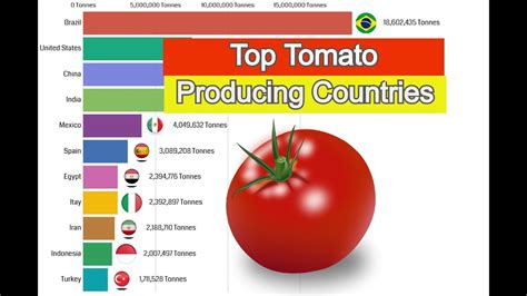 Top 10 Tomato Producing Countries Youtube