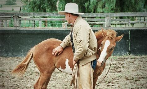Buck Brannaman Foal Handling Australia 1995 By Ron Vol On Flickr