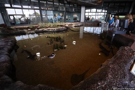 Monterey Bay Das Monterey Bay Aquarium In Der Cannery Row Usa