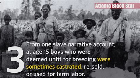7 Things You May Not Have Known About An Average Day For An Enslaved