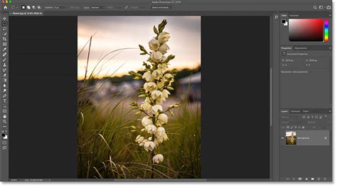 How To Open Images In Photoshop