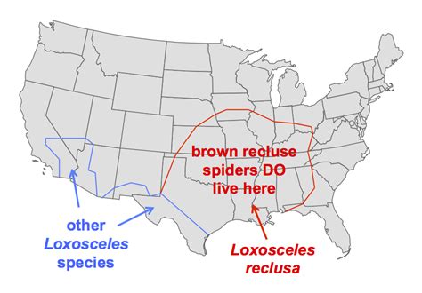 Brown Recluse Spider Map