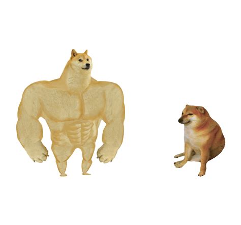 49 Doge Meme Template Cheems Png