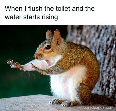 36 Funny Relatable Memes That Will Make You Laugh Eve
