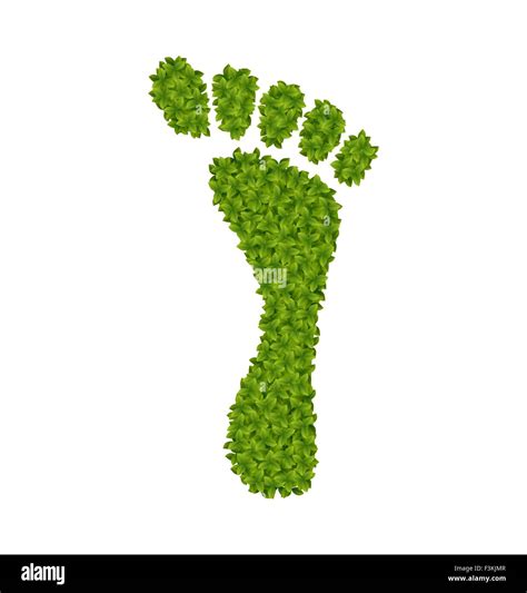 Human Footprint Made In Green Leaves Stock Vector Image And Art Alamy