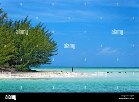 Grand Bahamas Town Hi Res Stock Photography And Images Alamy