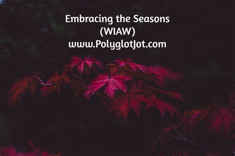 Learning To Embrace The Season Of Life Youre In
