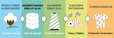 proceso algodón | Algodón hilado, Imagenes de animales graciosas
