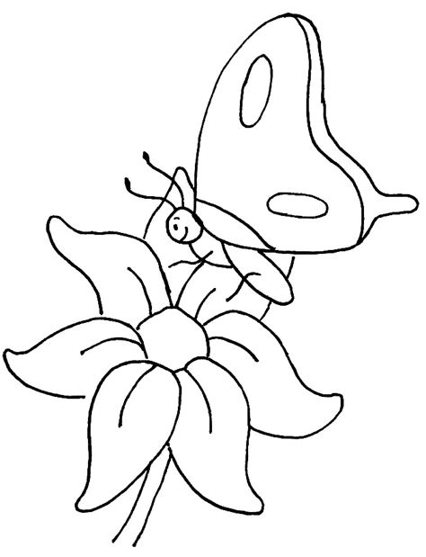 Bayi yang terlahir dari kepompong sketsa dan fiksi. Rose AmarArtes: Borboletas para colorir