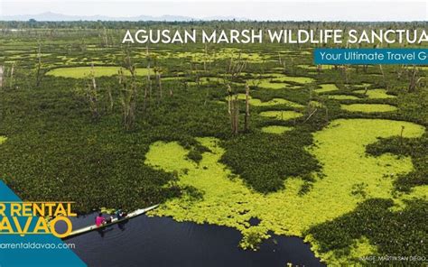 Into The Vast Wetland Of Agusan Marsh Wildlife Sanctuary