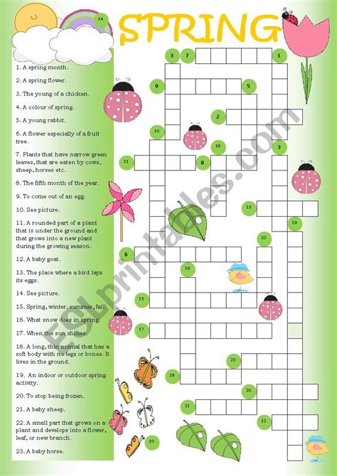 Shrub Spiky Flowers Crossword Clue Best Flower Site