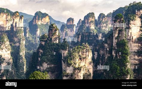 Paysage Majestueux De Avatar Mountains Vue Panoramique Sur La Vallée