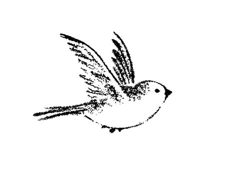 Sparrow Bird Drawing Swallow tattoo Painting - sparrow png download - 1600*1258 - Free ...