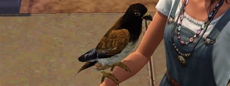 Sims 4 Pet Bird Mod Pervermont