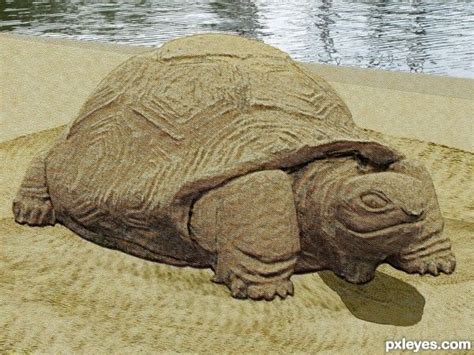 Photoshop Guide The Making Of Turtle Sand Sculpture Sand Sculptures
