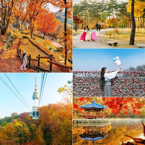 Du Lịch Hàn Quốc Mùa Thu Cảnh đẹp Mùa Lá Vàng đẹp đến Nao Lòng