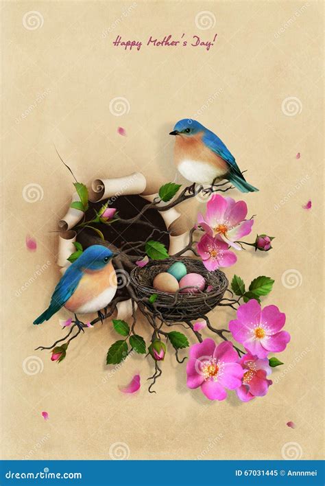 Nest With Two Blue Birds Stock Illustration Illustration Of Event