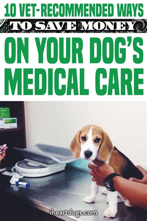 Our pet health insurance plan pays on your actual veterinary bill and debbie from phoenix, az: 10 Vet-Recommended Ways To Save Money On Your Dog's ...