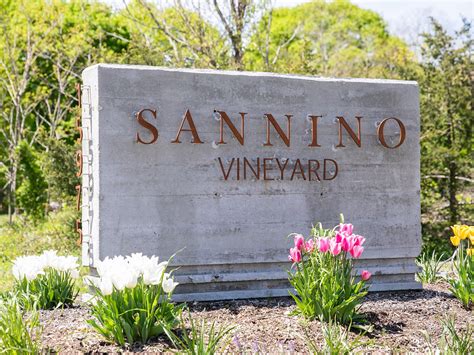 Sannino Vineyard Cutchogue All You Need To Know Before You Go
