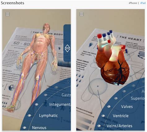 Understanding Anatomy 4d Augmented Reality Ysar