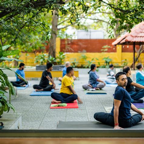 daily yoga classes krishna wellness yoga