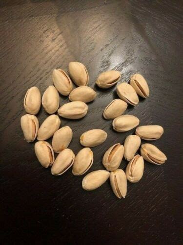 25 Pistachio Seeds From Kerman Pistachio Tree Grown In California EBay