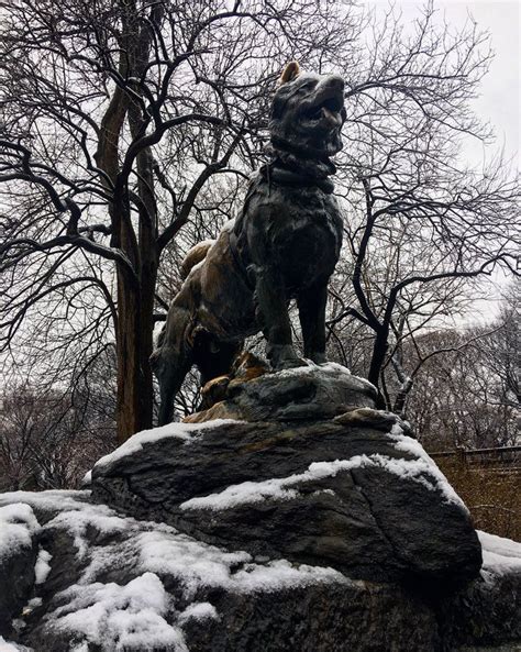 Balto Statue In Central Park Nyc Central Park Nyc Nyc Aesthetic