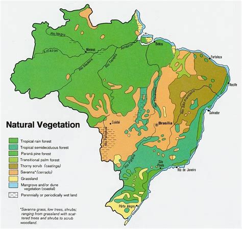 Geography And Environment Gcu 114 Brazil