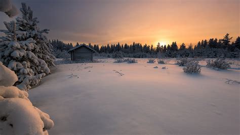 Photo Finland Winter Nature Snow Sunrise And Sunset 2560x1440