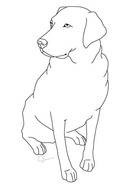 Labrador Retriever Coloring Page At Free Printable