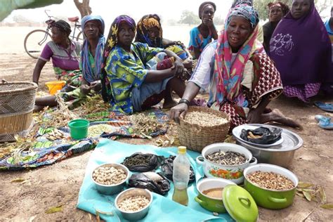 Film Review Protecting Cultural Heritage Through Food In Burkinabè