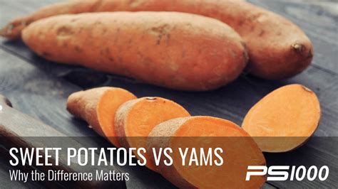 Sweet potatoes and potatoes with orange, purple, yellow colors are best. Sweet Potatoes vs. Yams: Which is Better? » PS1000 Blog