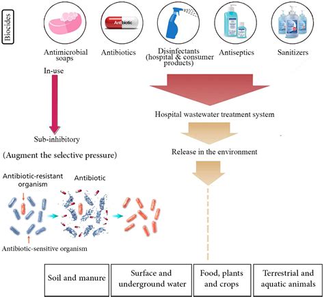 Frontiers Antimicrobial Resistance As A Hidden Menace Lurking Behind